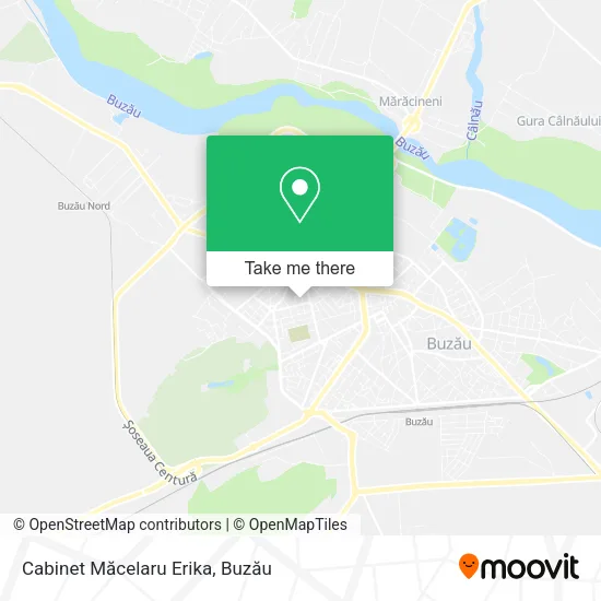 Cabinet Măcelaru Erika map