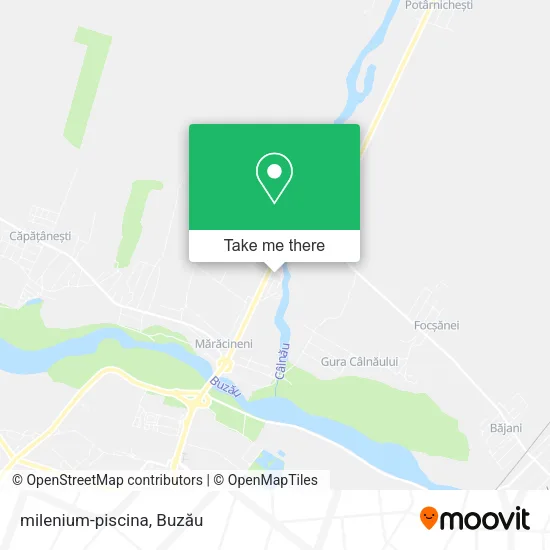 milenium-piscina map