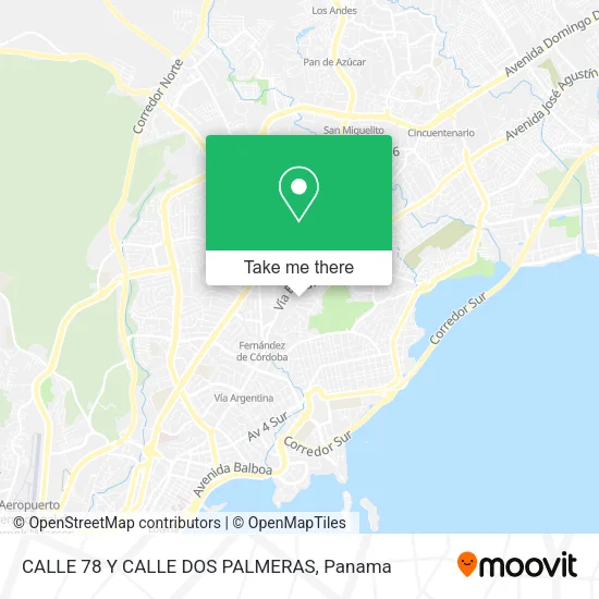 CALLE 78 Y CALLE DOS PALMERAS map