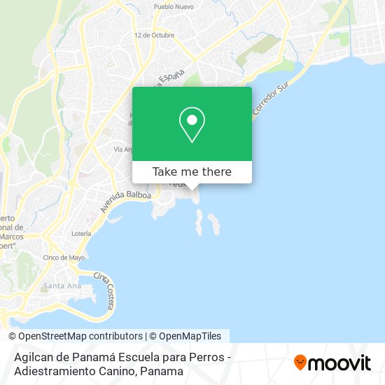 Agilcan de Panamá Escuela para Perros - Adiestramiento Canino map