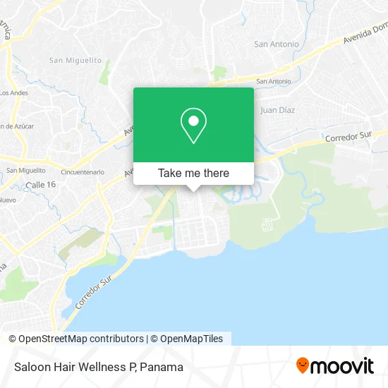Saloon Hair Wellness P map