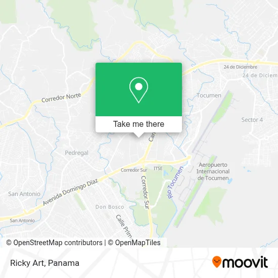 Ricky Art map