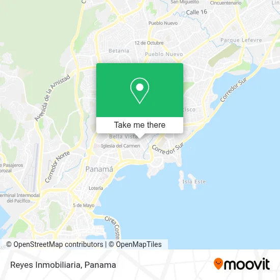 Reyes Inmobiliaria map