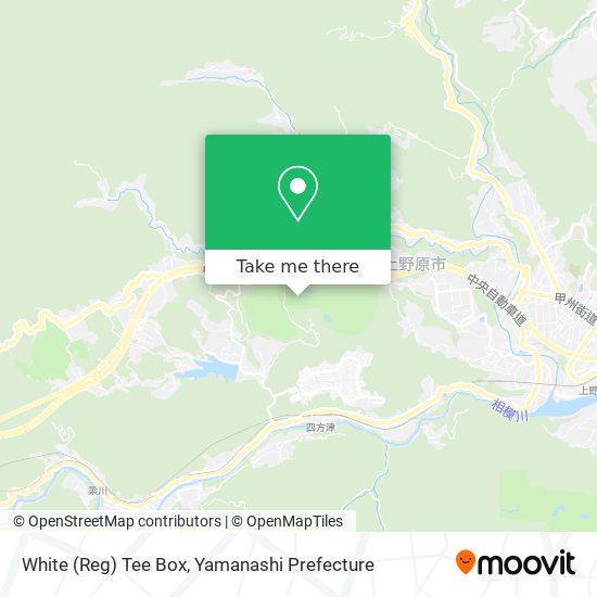 White (Reg) Tee Box map