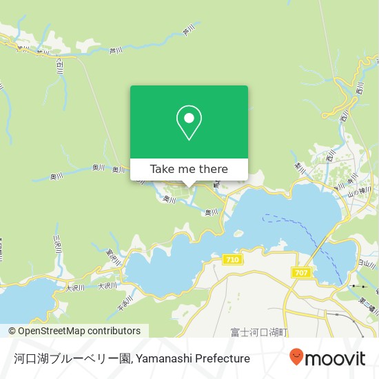 河口湖ブルーベリー園 map