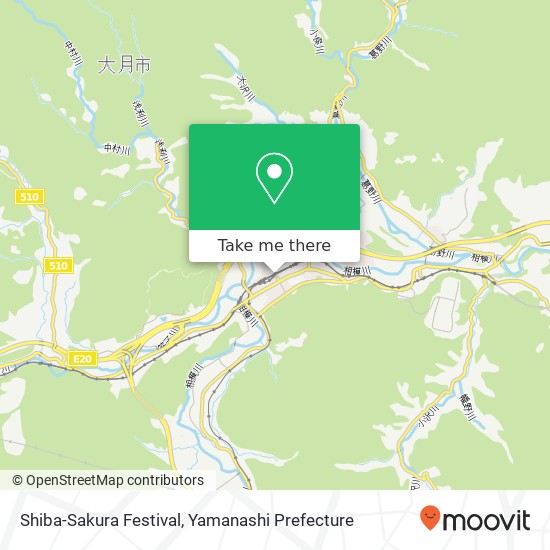 Shiba-Sakura Festival map