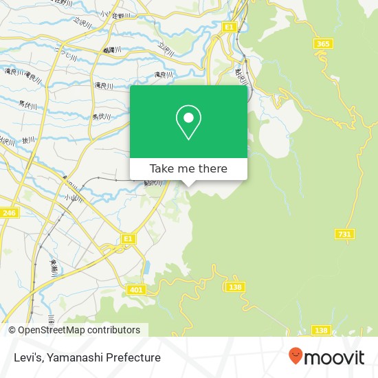 Levi's map