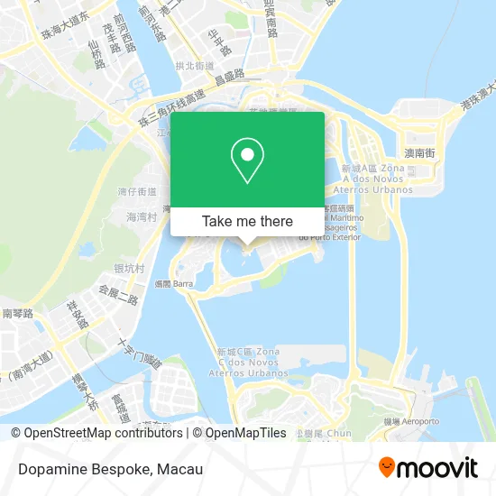 Dopamine Bespoke map
