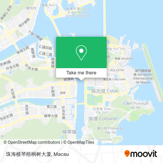 珠海横琴梧桐树大厦地圖