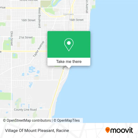 Village Of Mount Pleasant map