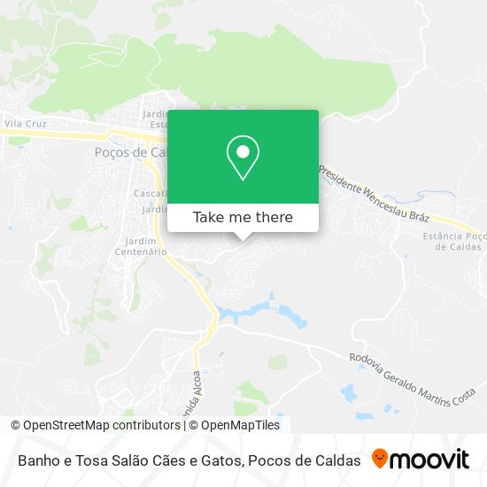 Banho e Tosa Salão Cães e Gatos map