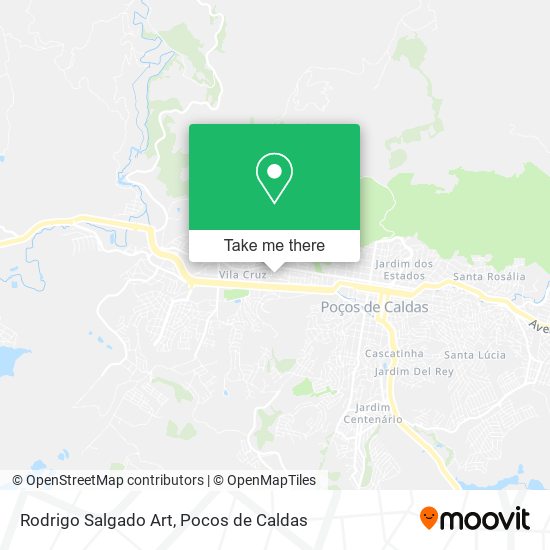 Rodrigo Salgado Art map