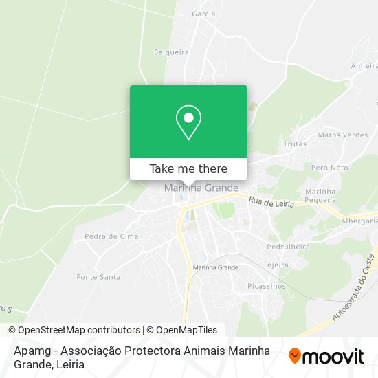 Apamg - Associação Protectora Animais Marinha Grande mapa