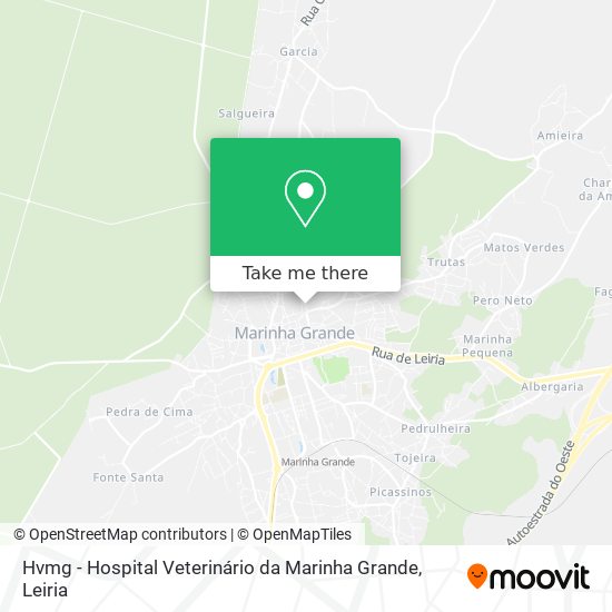 Hvmg - Hospital Veterinário da Marinha Grande map