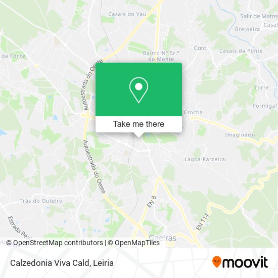 Calzedonia Viva Cald map