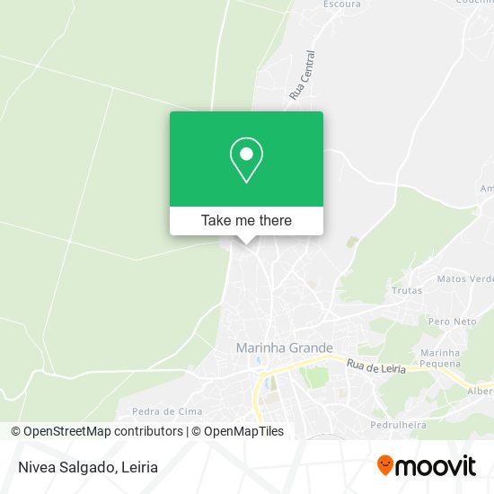 Nivea Salgado map