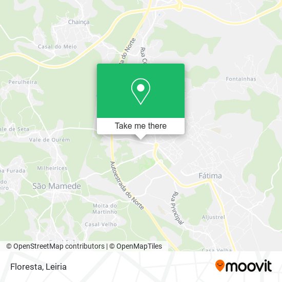 Floresta mapa