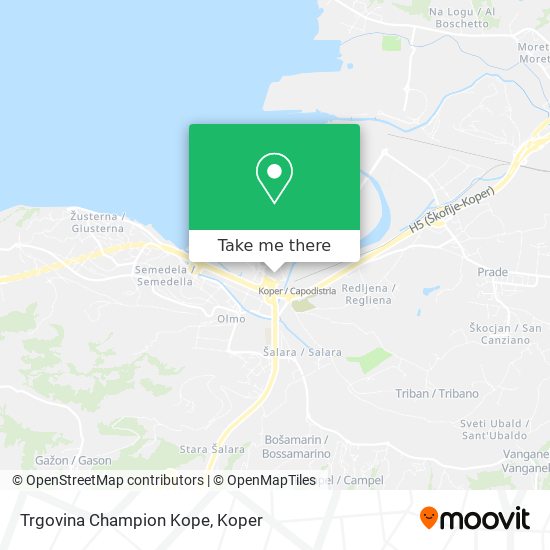 Trgovina Champion Kope map