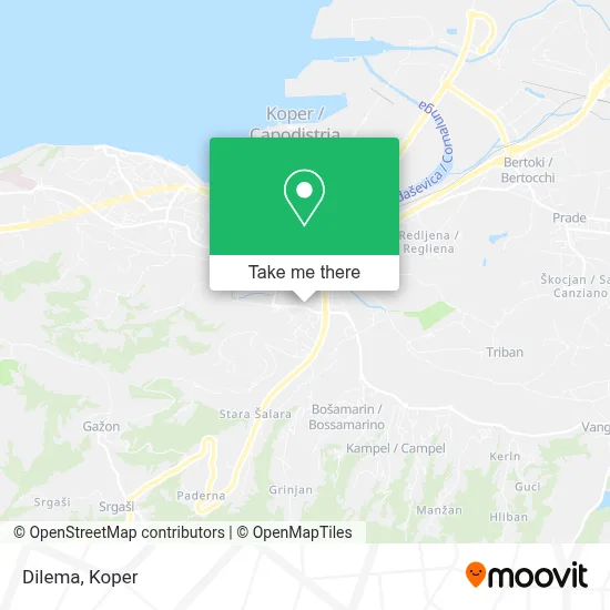 Dilema map