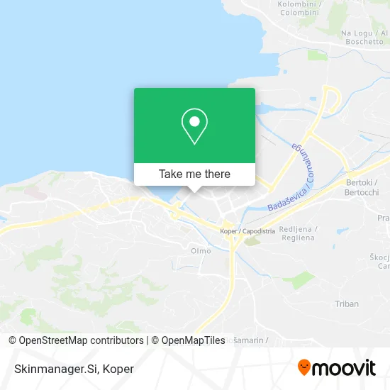 Skinmanager.Si map