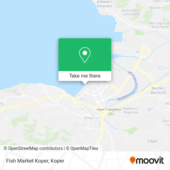 Fish Market Koper map