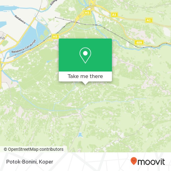 Potok-Bonini map