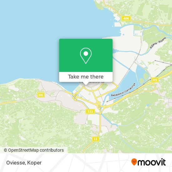 Oviesse map