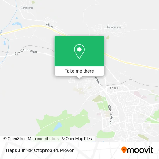 Карта Паркинг жк Сторгозия
