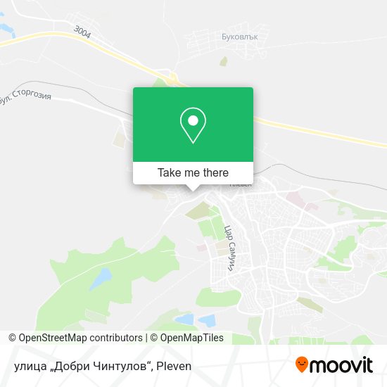 Карта улица „Добри Чинтулов“