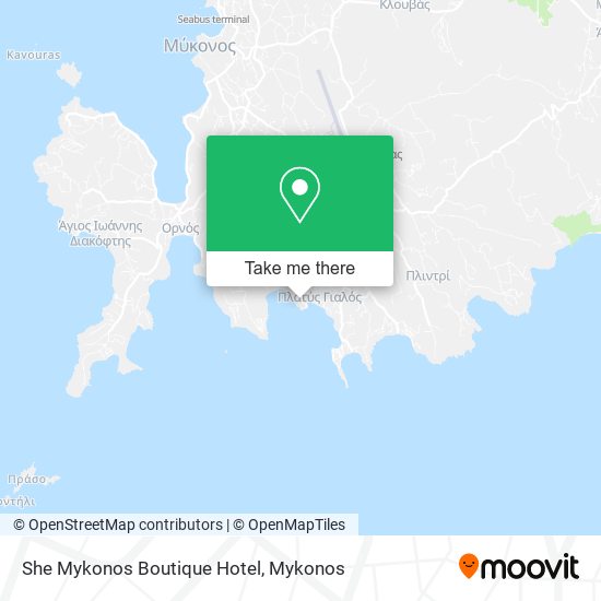She Mykonos Boutique Hotel map