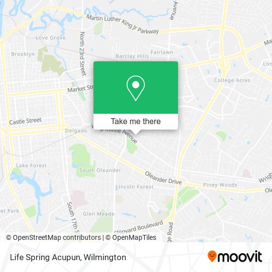 Life Spring Acupun map