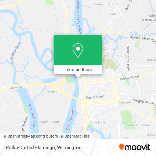 Polka-Dotted Flamingo map