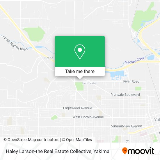 Haley Larson-the Real Estate Collective map