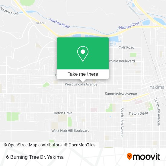 6 Burning Tree Dr map