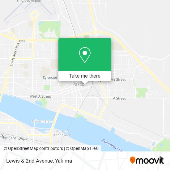 Lewis & 2nd Avenue map