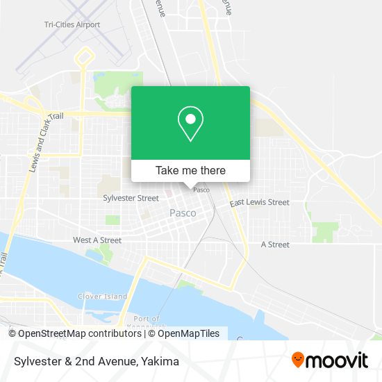 Sylvester & 2nd Avenue map