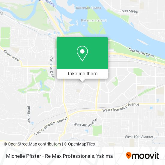 Michelle Pfister - Re Max Professionals map