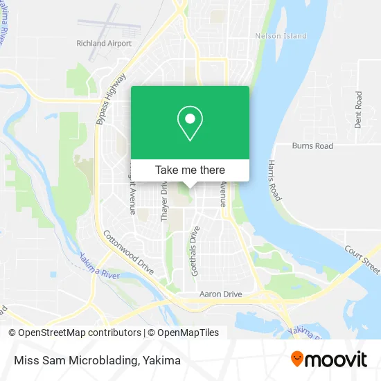 Miss Sam Microblading map