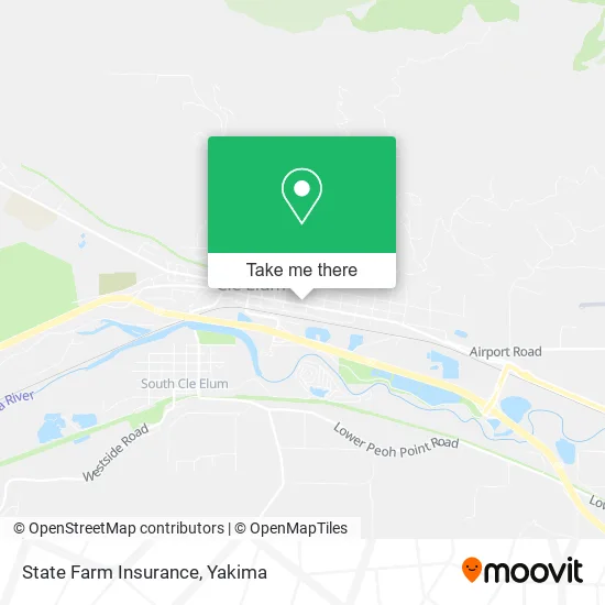 State Farm Insurance map