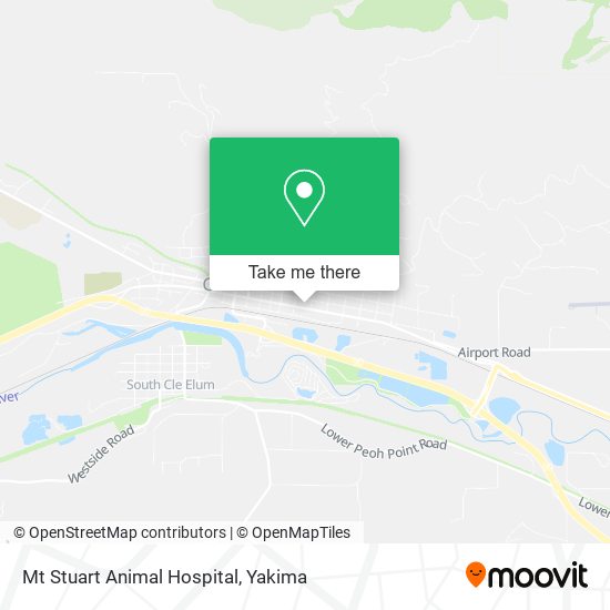 Mapa de Mt Stuart Animal Hospital
