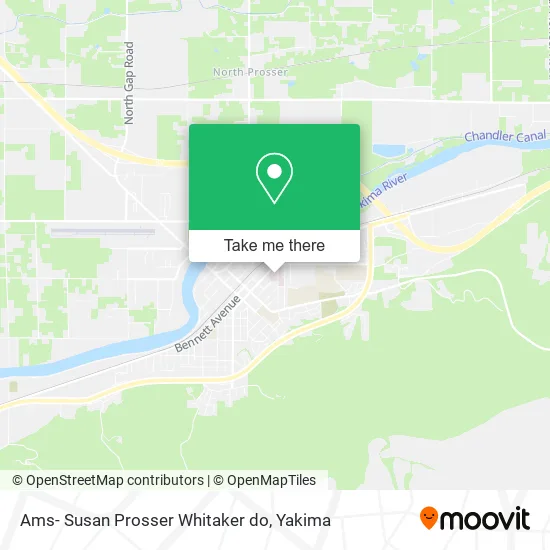 Mapa de Ams- Susan Prosser Whitaker do