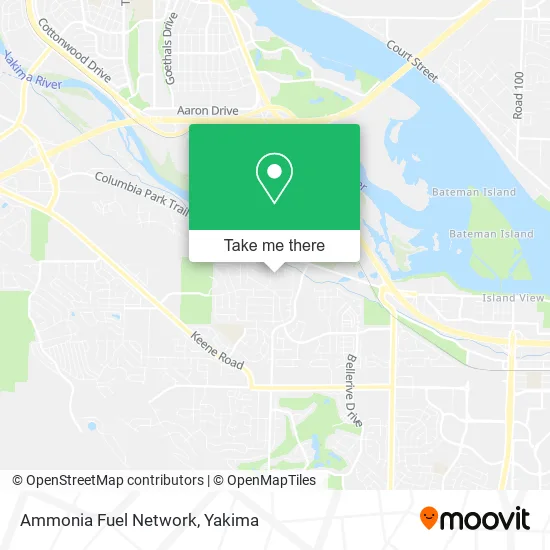 Ammonia Fuel Network map