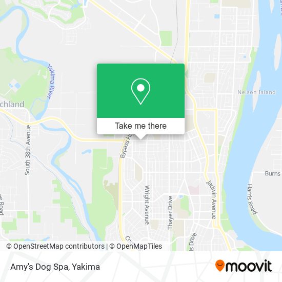 Mapa de Amy's Dog Spa