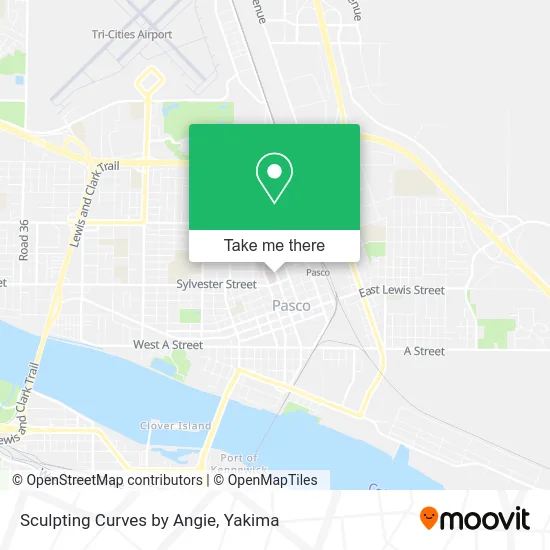 Sculpting Curves by Angie map