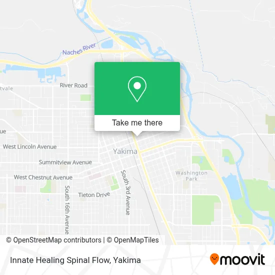 Innate Healing Spinal Flow map
