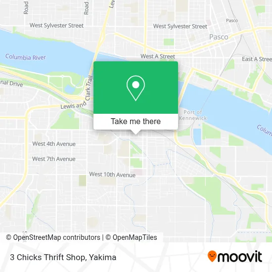 3 Chicks Thrift Shop map