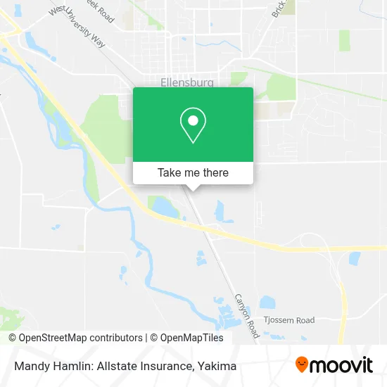 Mandy Hamlin: Allstate Insurance map