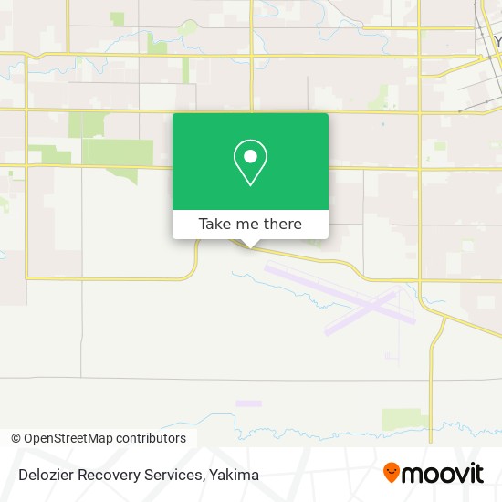Delozier Recovery Services map