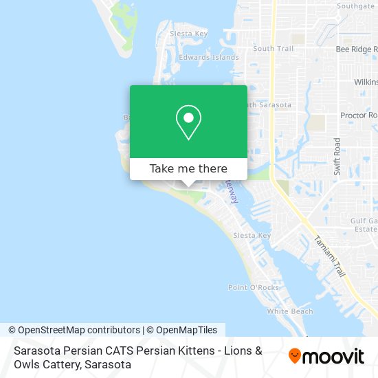 Sarasota Persian CATS Persian Kittens - Lions & Owls Cattery map