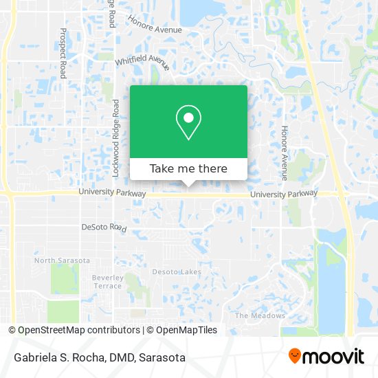 Mapa de Gabriela S. Rocha, DMD